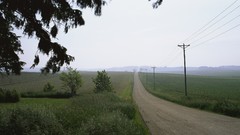 Landscapes sunset nature grass sun clouds roads fields skylines