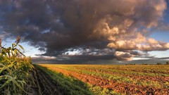 Landscapes sunset nature grass sun Mountains clouds storm corn 