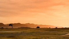 Landscapes sunset nature hills California USA fields