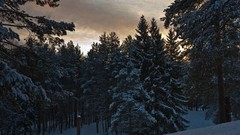 Landscapes sunset nature land