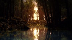 Landscapes sunset nature land ponds