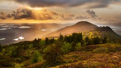 Landscapes sunset nature light forests