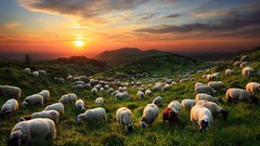 Landscapes sunset nature Mountains clouds