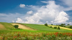 Landscapes sunset nature Mountains ocean cloud travel skies HDR 