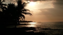 Landscapes sunset nature ocean palm trees Beaches