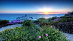 Landscapes sunset nature Pacific