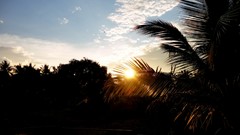 Landscapes sunset nature palm trees tropical sunbeams