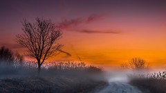 Landscapes sunset nature roads
