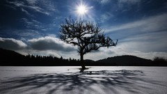 Landscapes sunset nature snow clouds forests