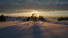 Landscapes sunset nature snow white silhouettes