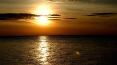 Landscapes sunset nature summer golden