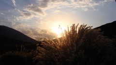 Landscapes sunset nature sun summer