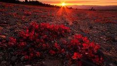 Landscapes sunset nature sunlight skies