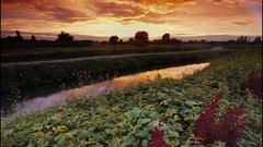 Landscapes sunset nature sunlight skies