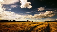 Landscapes sunset nature sunlight skies