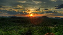 Landscapes sunset nature Trees clouds Green