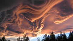 Landscapes sunset nature Trees clouds New Zealand skies