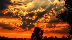 Landscapes sunset nature Trees clouds sky red orange Celestial 