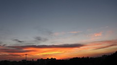 Landscapes sunset nature Trees evening forests wildlife blue 