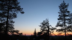 Landscapes sunset nature Trees forests skylines