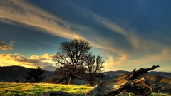 Landscapes sunset nature Trees grass fields skyscapes
