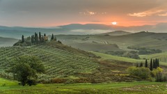 Landscapes sunset nature Trees grass hills Green Italy roads 