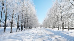 Landscapes sunset nature Trees grass snow winter sun Mountains 
