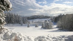 Landscapes sunset nature Trees grass snow winter sun Mountains 