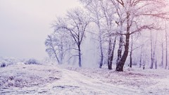 Landscapes sunset nature Trees grass snow winter sun Mountains 
