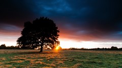 Landscapes sunset nature Trees grass sun clouds hay sunlight 