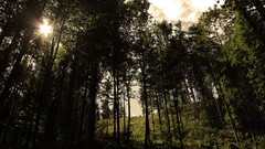 Landscapes sunset nature Trees grass sun Mountains clouds 
