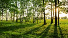Landscapes sunset nature Trees grass sun Mountains clouds 