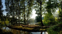 Landscapes sunset nature Trees grass sun Mountains clouds 