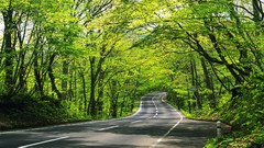 Landscapes sunset nature Trees grass sun Mountains clouds roads 