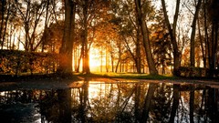Landscapes sunset nature Trees grass water lagoon reflections 