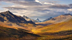 Landscapes sunset nature Trees grass yellow gray water 