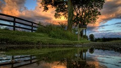 Landscapes sunset nature Trees grass yellow water clouds Green 