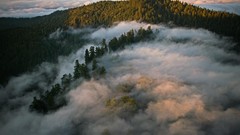 Landscapes sunset nature Trees gray clouds hills Green 