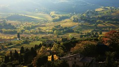 Landscapes sunset nature Trees hills Green houses fields toscana