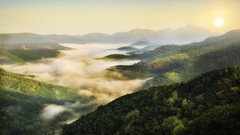 Landscapes sunset nature Trees hills Green mist forests