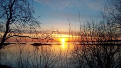 Landscapes sunset nature Trees Islands silhouettes lakes