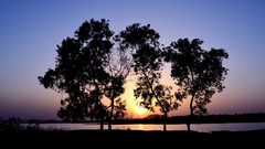 Landscapes sunset nature Trees lakes