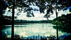 Landscapes sunset nature Trees lakes outdoors