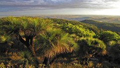 Landscapes sunset nature Trees Mountains clouds hills Green 
