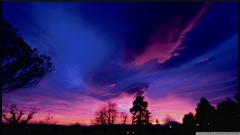 Landscapes sunset nature Trees purple skyscapes