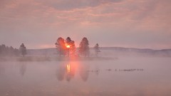 Landscapes sunset nature Trees rock black Mountains ice cloud 