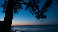 Landscapes sunset nature Trees rock black Mountains ice cloud 