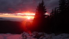 Landscapes sunset nature Trees snow clouds forests