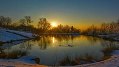 Landscapes sunset nature Trees snow water Birds lagoon mystical