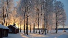 Landscapes sunset nature Trees snow winter buildings forests 